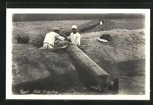 AK Egypt, Field Irrigating, arabische Volkstypen