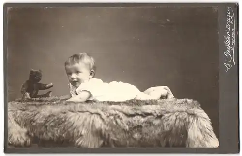 Fotografie C. Geissler, Driesen N.M., Holmstr. 24, Portrait niedliches Kleinkind mit Teddy auf Pelz liegend