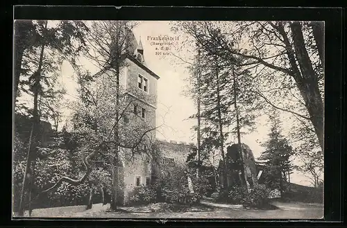 AK Frankenstein a. d. B., Burgruine hinter Bäumen