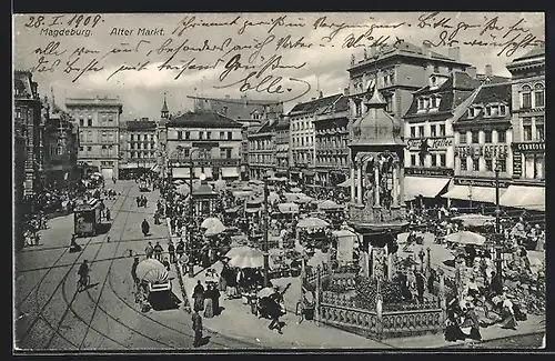 AK Magdeburg, Stern Kaffee und Strassenbahn am alten Markt