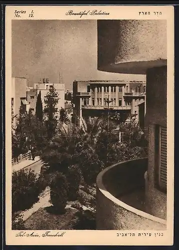 AK Tel-Aviv, Townhall