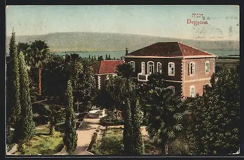 AK Degania, Palmengarten mit Haus und Blick zum Wasser