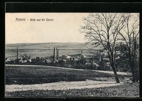 AK Artern, Saline von einem Feldweg aus