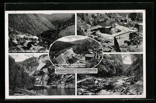 AK Schwarzburg i. Schwarzatal /Thür. Wald, Berggasthaus Schieferbrüche, Bergsee, Steinbruch