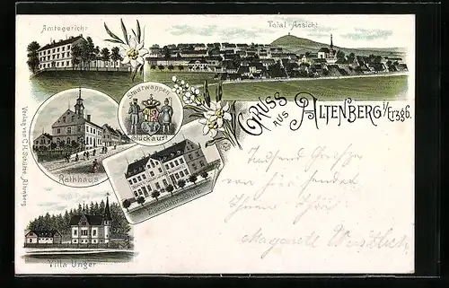 Lithographie Altenberg i. Erzgb., Villa Unger, Rathaus, Amtsgericht