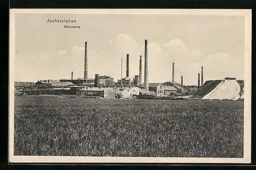 AK Aschersleben, Kaliwerke