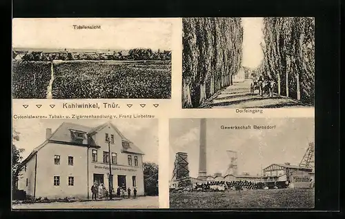 AK Kahlwinkel /Thür., Totalansicht, Colonialwaren von Franz Liebetrau, Gewerkschaft Bernsdorf, Salzbergwerk