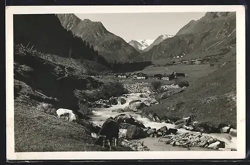 AK Neustift im Stubaital, Stöcklenalm