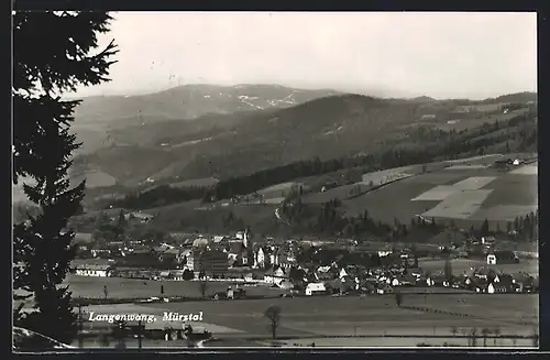 AK Langenwang /Mürztal, Gesamtansicht mit Feldern und Bergen