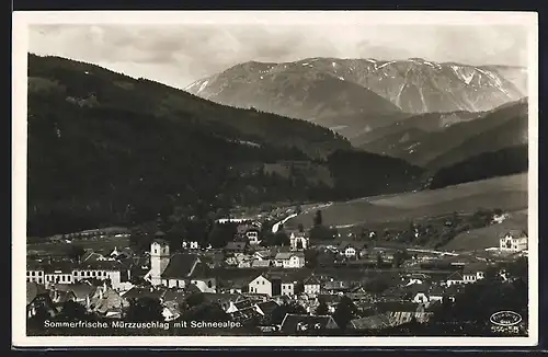 AK Mürzzuschlag, Totalansicht mit Schneealpe