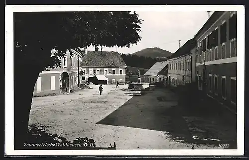 AK Waldhausen, Partie auf dem Marktplatz mit Brunnen