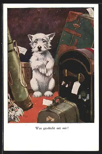 Künstler-AK George Ernest Studdy: What about me?, Trauriger Hund erblickt gepackte Koffer