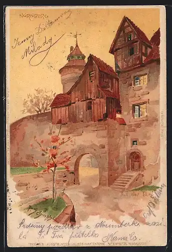 Künstler-AK P. Schmohl: Nürnberg, auf der Burg
