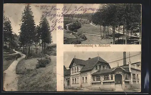 AK Ahlsdorf, Conditorei-Cafe Wille, Landschaftsansichten Dippelsbachthal