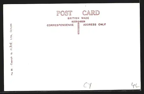 AK Colombo, York Street, Ford