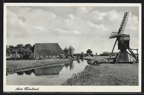 AK Friesland, Windmühle am Ufer