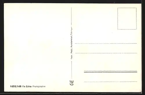 AK Schweinfurt, Passanten am Rathaus