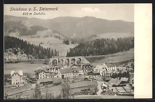 AK Steinhaus a. S., Panorama mit Eisenbahnbrücke