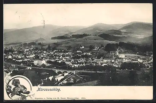 AK Mürzzuschlag, Blick aus der Vogelschau auf den Ort, Auerhahn