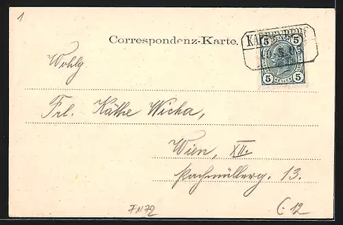 AK Kapfenberg, Ortspanorama mit Kirche