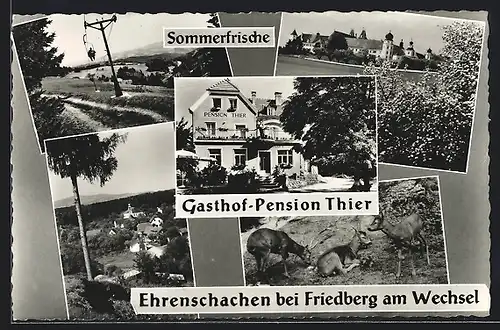 AK Ehrenschachen, Gasthof-Pension Thier, Ortsansicht aus der Vogelschau