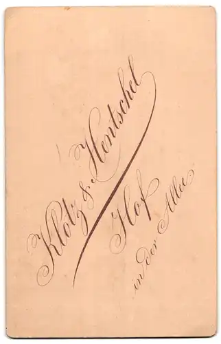 Fotografie Klotz & Hentschel, Hof, In der Allee, Portrait bürgerliche Dame mit Kragenbrosche und Medaillon