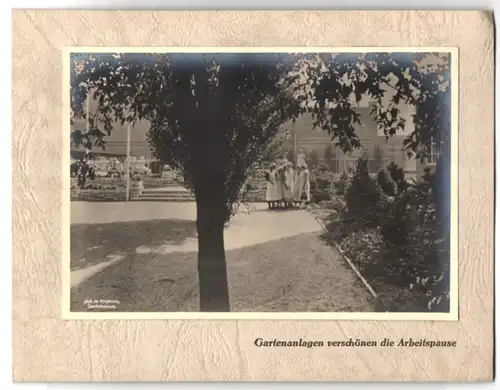 Fotografie Max Krajewsky, Ansicht Berlin-Weissensee, Gartenanlage der Trumpf Schokoladenfabrik