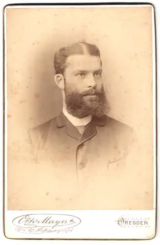 Fotografie Otto Mayer, Dresden, Pragerstrasse 31, Portrait stattlicher Herr mit Krawatte und Vollbart