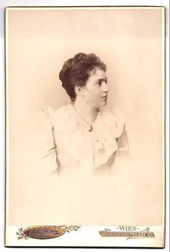 Fotografie Joh. E. Hahn, Wien, Mariahilferstrasse 105, Frau in Rüschenkleid mit hochgesteckter Frisur