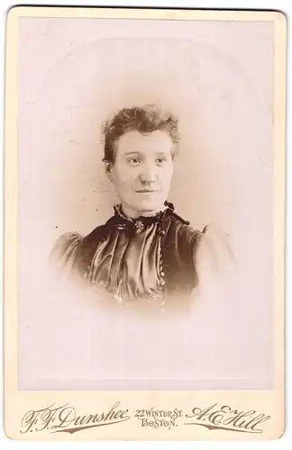 Fotografie F. F. Dunshcee & A. E. Hill, Boston, 22 Winter St., Portrait bürgerliche Dame im hübschen Kleid