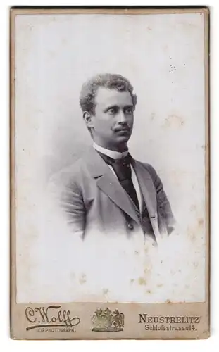 Fotografie C. Wolff, Neustrelitz, Schlossstrasse 14, Portrait junger Herr im Anzug mit Krawatte