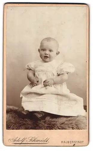 Fotografie Adolf Schmidt, Halberstadt, Spiegelstrasse 16, Portrait niedliches Kleinkind im Kleid auf Fell sitzend