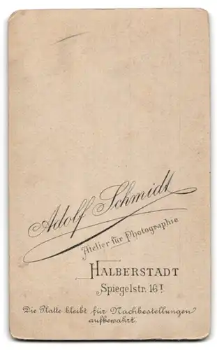 Fotografie Adolf Schmidt, Halberstadt, Spiegelstrasse 16, Portrait niedliches Kleinkind im Kleid auf Fell sitzend