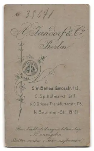 Fotografie A. Jandorf & Co., Berlin-SW, Bellealliancestrasse 1-2, Portrait niedliches Kleinkind im weissen Hemd