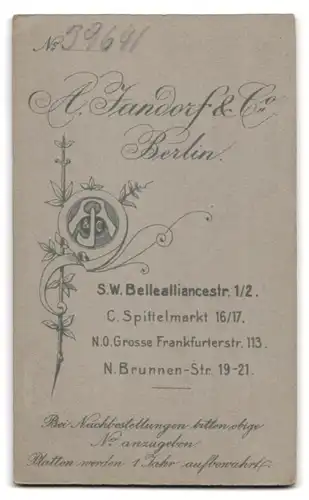 Fotografie A. Jandorf & Co., Berlin-SW, Bellealliancestrasse 1-2, Portrait niedliches Kleinkind im Hemd auf Fell sitzend