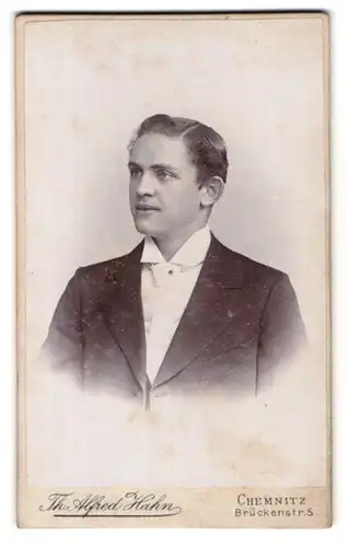 Fotografie Th. Alfred Hahn, Chemnitz, Brückenstrasse 5, Portrait junger Mann im Anzug mit Krawatte