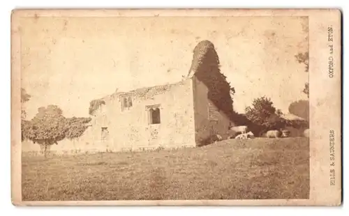 Fotografie Hills & Saunders, Oxford, Ansicht Oxford, Ruine Frauenkloster Godstow