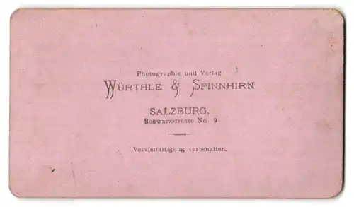 Fotografie Würthle & Spinnhirn, Salzburg, Schwarzstrasse 9, Ansicht Unterach am Attersee, Totalansicht