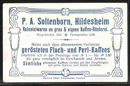 Sammelbild P.A. Soltenborn Kaffee, Hildesheim, Serie 5330, No. 4, Tölpel, Silbermöve, Pinguin, Trottellumme