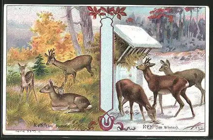 Sammelbild P.A. Soltenborn Kaffee, Hildesheim, Serie 5377 No.6, Rehe im Sommer, Rehe an der Futterstelle im Winter