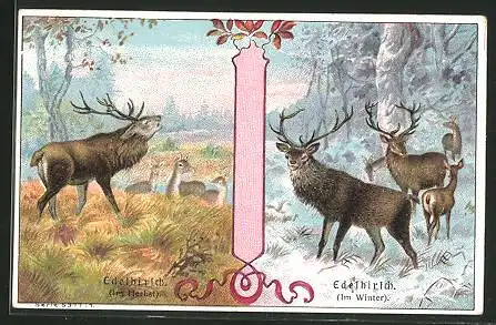 Sammelbild P.A. Soltenborn Kaffee, Hildesheim, Serie 5377 No.1, Winter- und Herbstlandschaften mit Edelhirschen