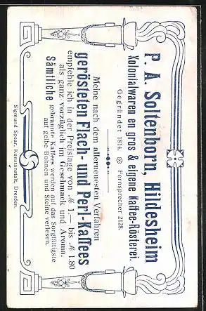 Sammelbild P.A. Soltenborn Kaffee, Hildesheim, Serie 5390 No. 1, Niggerschafe und Hausschafe