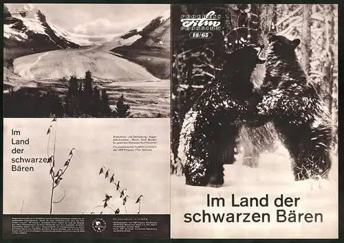 Filmprogramm PFP Nr. 18 /65, Im Land der schwarzen Bären, Eugen Schuhmacher, Erich Bender