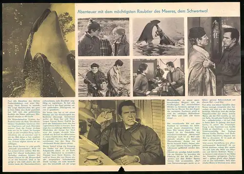 Filmprogramm PFP Nr. 31 /68, Namu, der Raubwal, Robert Lansing, John Anderson, Regie: Laslo Benedek
