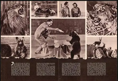 Filmprogramm PFP Nr. 3 /59, Neue Attraktionen, Wladimir Balaschow, Inna Kmit, Regie: Boris Dolin