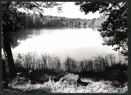 12 Fotografien Ansicht Colditz, Herausgeber PGH Film und Bild Berlin, Bild Wolfgang Stadler, Leben im Sozialismus-DDR