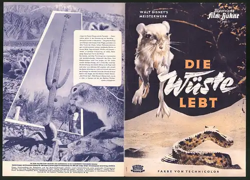 Filmprogramm IFB Nr. 2408, Die Wüste lebt, Walt Disney, Naturdokumentation, Regie: James Algar