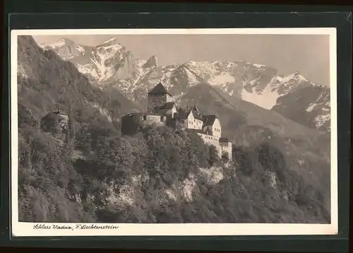 AK Vaduz, Panoramablick auf Schloss und Gebirgswand