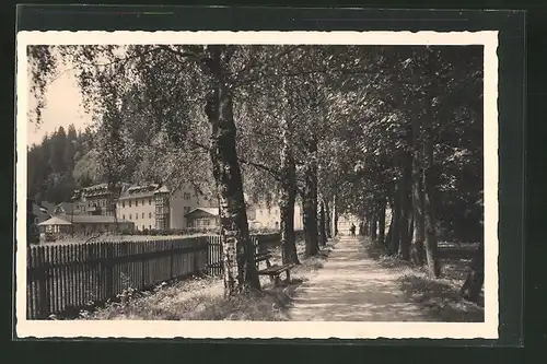 AK Wildbad-Einöd, Blick in die Birkenallee