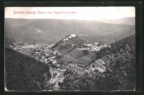 AK Schwarzburg / Thür., Vom Trippstein gesehen